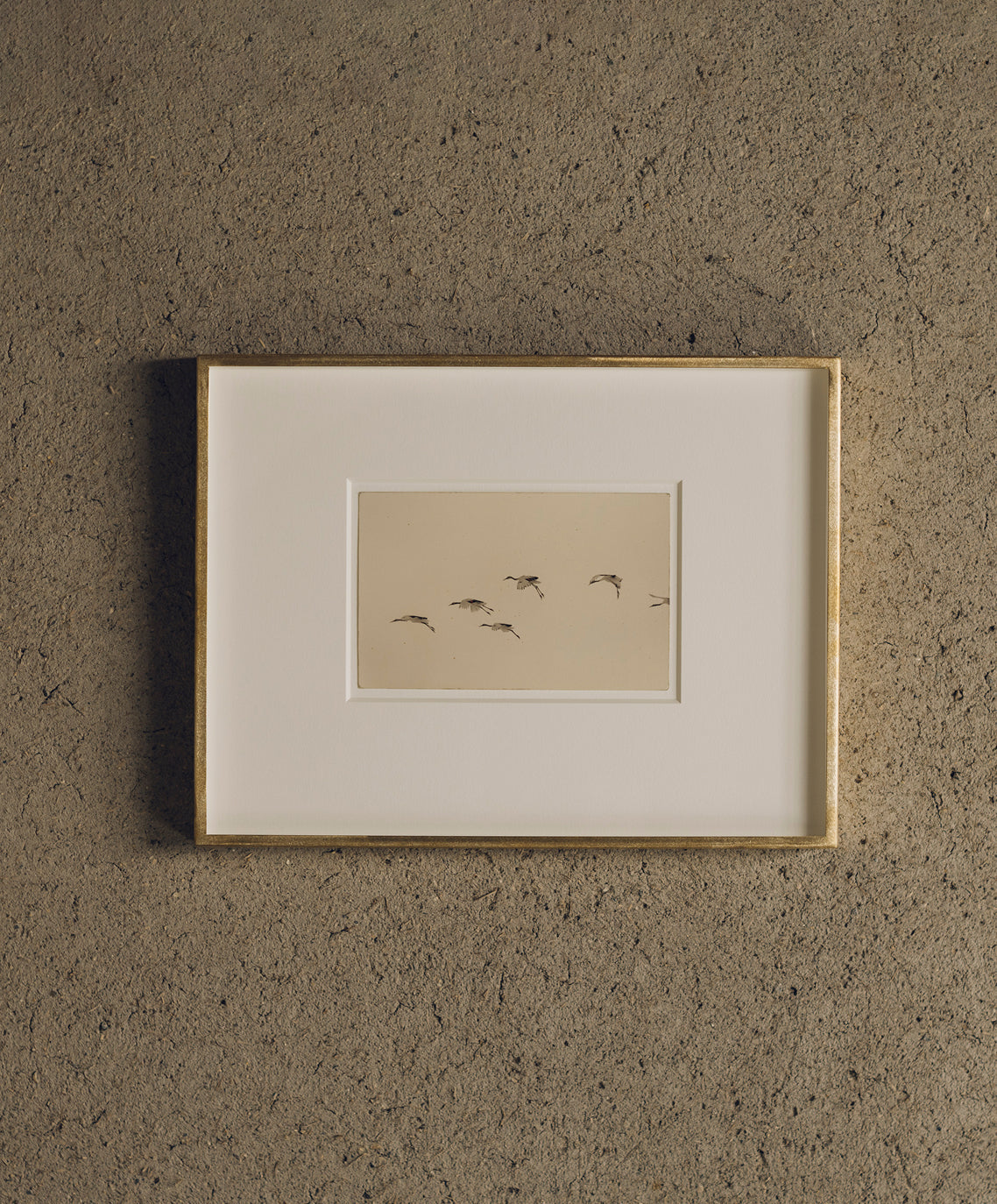 中空 Nakazora #1171