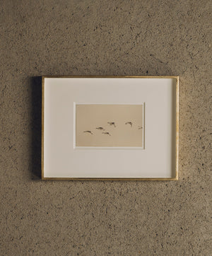 中空 Nakazora #1171