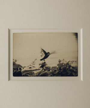 空の箱 A box of Ku #709