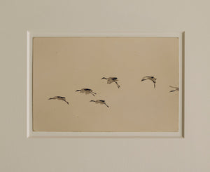 中空 Nakazora #1171