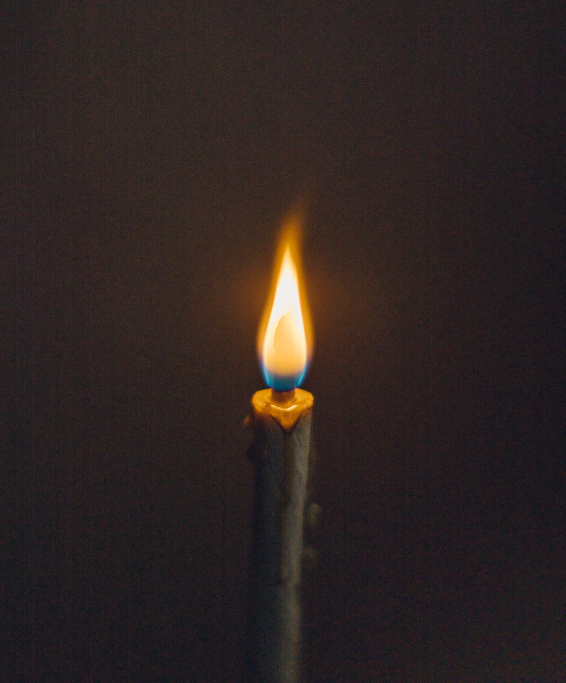 Japanese Candles (Wa-rosoku)